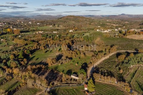 Terra a Belmonte, Castelo Branco, Belmonte - € 25.000 | Ref: 111250214 - foto 2
