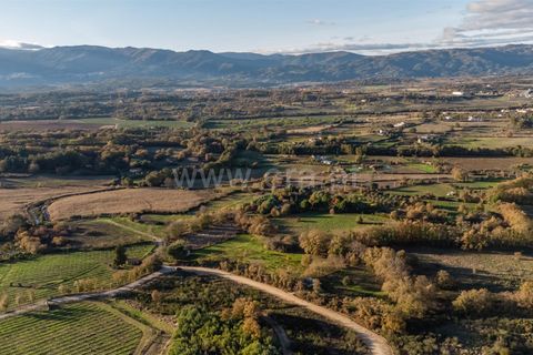 Terra a Belmonte, Castelo Branco, Belmonte - € 25.000 | Ref: 111250214 - foto 5