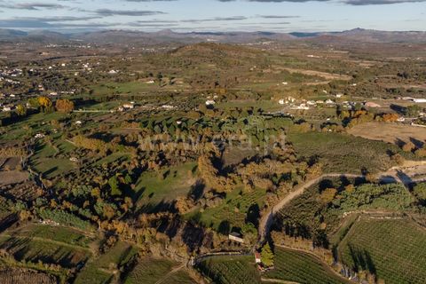 Terra a Belmonte, Castelo Branco, Belmonte - € 25.000 | Ref: 111250214 - foto 7