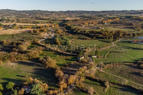Terra a Belmonte, Castelo Branco, Belmonte - € 25.000 | Ref: 111250214 - foto 8