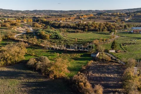 Terra a Belmonte, Castelo Branco, Belmonte - € 25.000 | Ref: 111250214 - foto 9