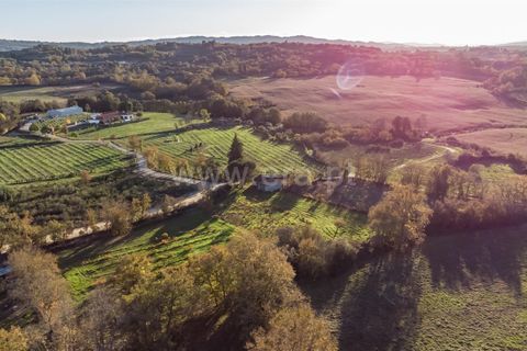 Terra a Belmonte, Castelo Branco, Belmonte - € 25.000 | Ref: 111250214 - foto 10