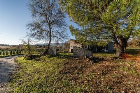 Terra a Belmonte, Castelo Branco, Belmonte - € 25.000 | Ref: 111250214 - foto 12
