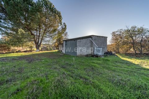 Terra a Belmonte, Castelo Branco, Belmonte - € 25.000 | Ref: 111250214 - foto 14