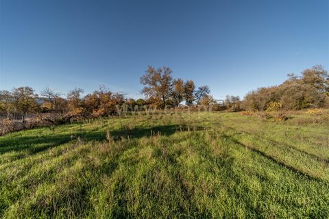 Terra a Belmonte, Castelo Branco, Belmonte - € 25.000 | Ref: 111250214 - foto 15