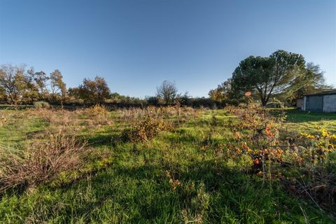 Terra a Belmonte, Castelo Branco, Belmonte - € 25.000 | Ref: 111250214 - foto 18