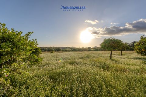 Villa i Avola, Siracusa, Avola - € 270.000 | Ref: 1212 - foto 11