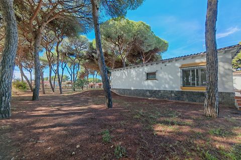 Villa a Marbella, Malaga, Marbella - € 1.900.000 | Ref: BEMV1488 - foto 26