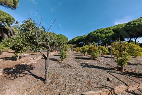 Villa a Marbella, Malaga, Marbella - € 1.900.000 | Ref: BEMV1488 - foto 27