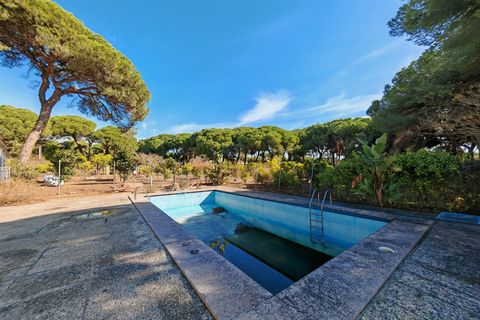 Villa a Marbella, Malaga, Marbella - € 1.900.000 | Ref: BEMV1488 - foto 28