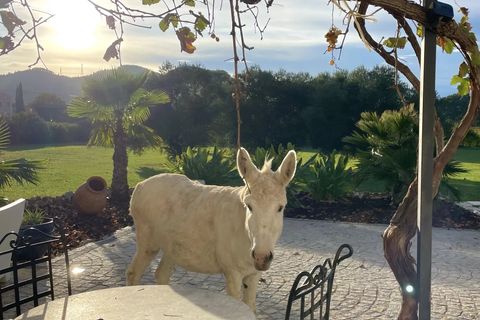 Villa i Les Arcs, Var, Les Arcs - € 1.790.000 | Ref: HH-15976286 - foto 12
