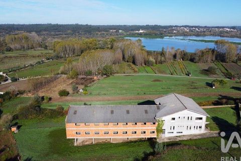 Erhvervsejendom i Agueda, Aveiro, Agueda - € 1.200.000 | Ref: 141496 - foto 4
