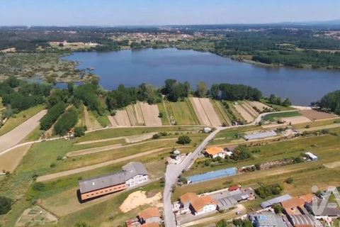 Erhvervsejendom i Agueda, Aveiro, Agueda - € 1.200.000 | Ref: 141496 - foto 8