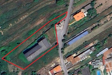 Erhvervsejendom i Agueda, Aveiro, Agueda - € 1.200.000 | Ref: 141496 - foto 9