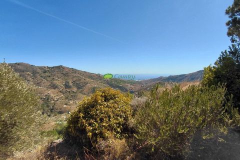 Landejendom i Competa, Malaga, Competa - € 339.000 | Ref: 7940 - foto 19