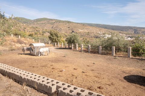 Villa i Valor, Granada, Valor - € 950.000 | Ref: 109768703 - foto 35