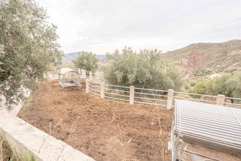 Villa i Valor, Granada, Valor - € 950.000 | Ref: 109768703 - foto 36