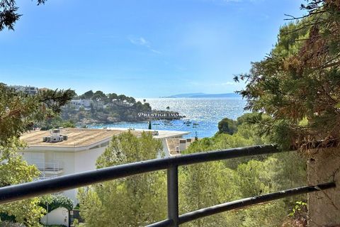 Villa i Roses, Gerona, Roses - € 745.000 | Ref: 6320/S45-N1IMMOFRESP - foto 13