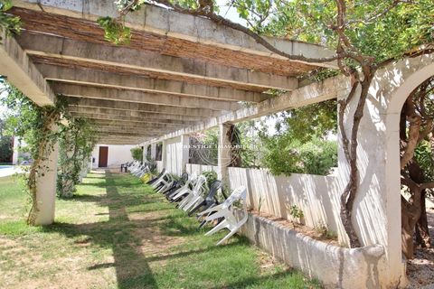 Lejlighed i Roses, Gerona, Roses - € 97.000 | Ref: 6288/A56-N1IMMOFRESP - foto 12