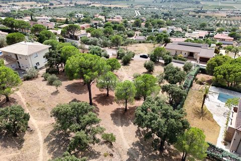 Terra a Pau, Gerona, Pau - € 435.000 | Ref: 5092/JF-N1IMMOFRESP - foto 3