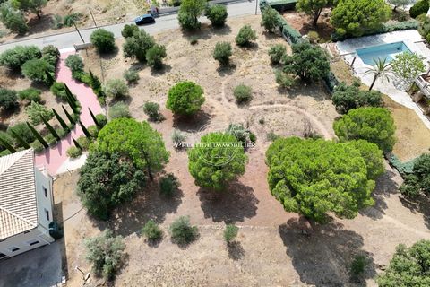 Terra a Pau, Gerona, Pau - € 435.000 | Ref: 5092/JF-N1IMMOFRESP - foto 6