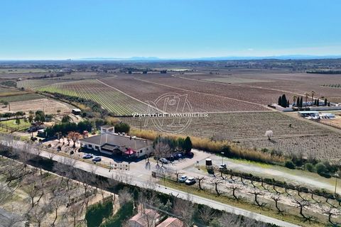Erhvervsejendom i Roses, Gerona, Roses - € 955.000 | Ref: 4930/S-N1IMMOFRESP - foto 2