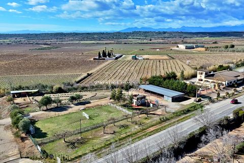 Erhvervsejendom i Roses, Gerona, Roses - € 955.000 | Ref: 4930/S-N1IMMOFRESP - foto 3
