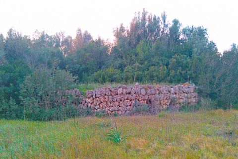 Tomt i Sencelles, Mallorca, Sencelles - € 450 000 | Ref: MPH-2630 - foto 2