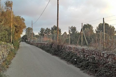 Tomt i Sencelles, Mallorca, Sencelles - € 450 000 | Ref: MPH-2630 - foto 3