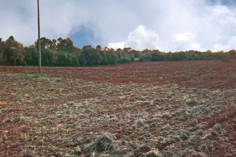 Tomt i Sencelles, Mallorca, Sencelles - € 450 000 | Ref: MPH-2630 - foto 6