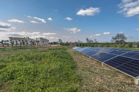 Farm i Campos, Mallorca, Campos - € 2.690.000 | Ref: MPH-3418 - foto 30