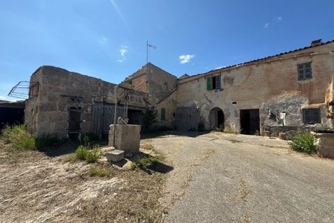 Farm i Manacor, Mallorca, Manacor - € 950.000 | Ref: MPH-3507 - foto 2