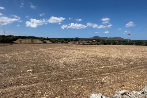 Farm i Manacor, Mallorca, Manacor - € 950.000 | Ref: MPH-3507 - foto 5