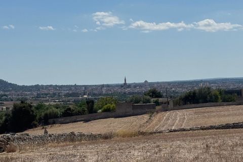 Farm i Manacor, Mallorca, Manacor - € 950.000 | Ref: MPH-3507 - foto 6