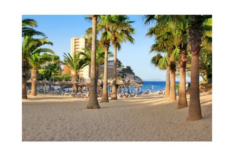 Penthouse i Cala Vinyes, Mallorca, Cala Vinyes - € 650 000 | Ref: MPH-3538 - foto 14