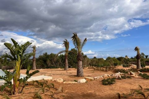 Farm i Santanyi, Mallorca, Santanyi - € 7.240.000 | Ref: MPH-3537 - foto 22