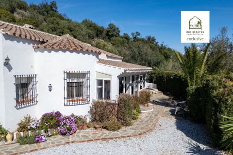Landejendom i Comares, Malaga - foto 1