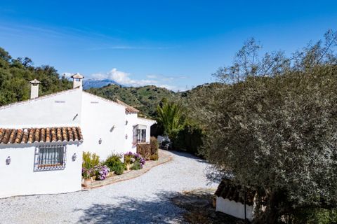 Landejendom i Comares, Malaga, Comares - € 349.000 | Ref: COM2503CH - foto 20