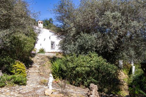 Landejendom i Comares, Malaga, Comares - € 349.000 | Ref: COM2503CH - foto 21