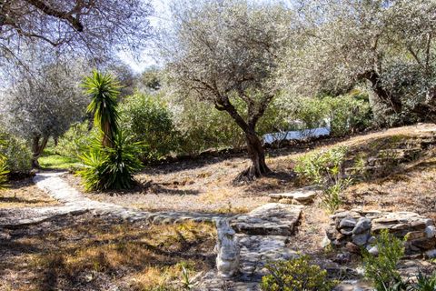 Landejendom i Comares, Malaga, Comares - € 349.000 | Ref: COM2503CH - foto 22
