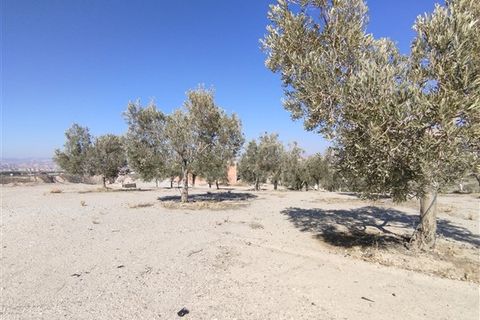 Cave house i Freila, Granada, Freila - € 35.000 | Ref: 255 - foto 21