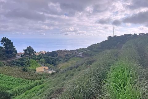 Villa i Ponta do Sol, Madeira, Ponta do Sol - € 425.000 | Ref: SF-SAFTI:007302 - foto 4