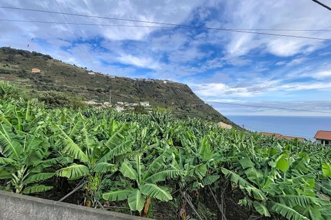 Helårsgrund i Arco da Calheta, Madeira, Arco da Calheta - € 360.000 | Ref: SF-SAFTI:007375 - foto 1