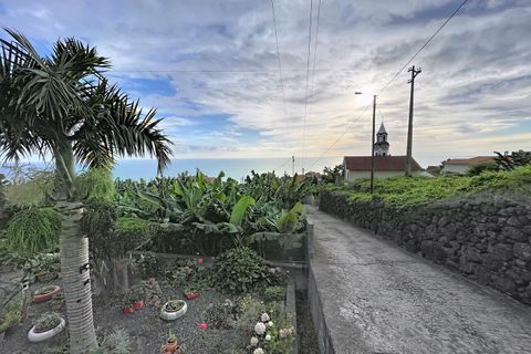 Helårsgrund i Arco da Calheta, Madeira, Arco da Calheta - € 360.000 | Ref: SF-SAFTI:007375 - foto 2
