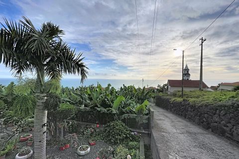 Helårsgrund i Arco da Calheta, Madeira, Arco da Calheta - € 360.000 | Ref: SF-SAFTI:007375 - foto 4