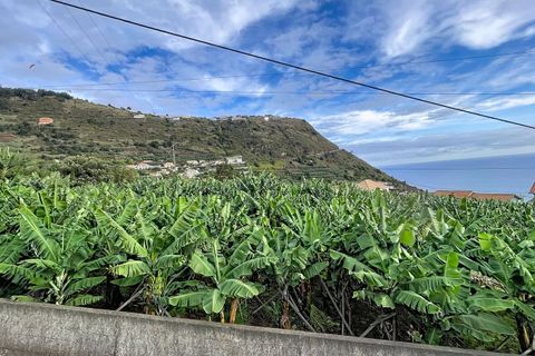 Helårsgrund i Arco da Calheta, Madeira, Arco da Calheta - € 360.000 | Ref: SF-SAFTI:007375 - foto 7