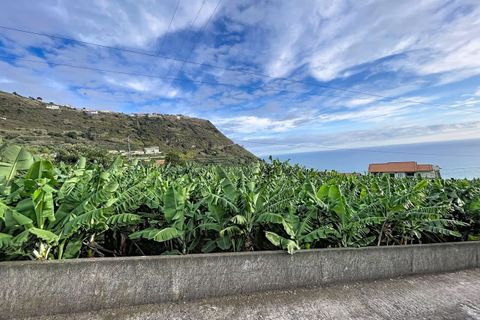 Helårsgrund i Arco da Calheta, Madeira, Arco da Calheta - € 360.000 | Ref: SF-SAFTI:007375 - foto 8