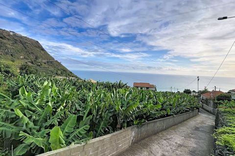 Helårsgrund i Arco da Calheta, Madeira, Arco da Calheta - € 360.000 | Ref: SF-SAFTI:007375 - foto 9