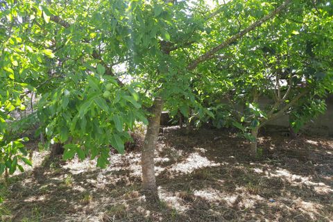 Villa i Moncao, Viana do Castelo, Moncao - € 135.000 | Ref: SF-SAFTI:001931 - foto 14