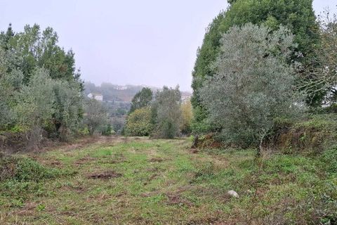 Helårsgrund i Penela, Coimbra, Penela - € 35.000 | Ref: SF-SAFTI:007364 - foto 1